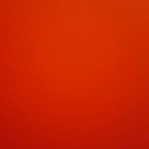 Meet your Posher, Sarina